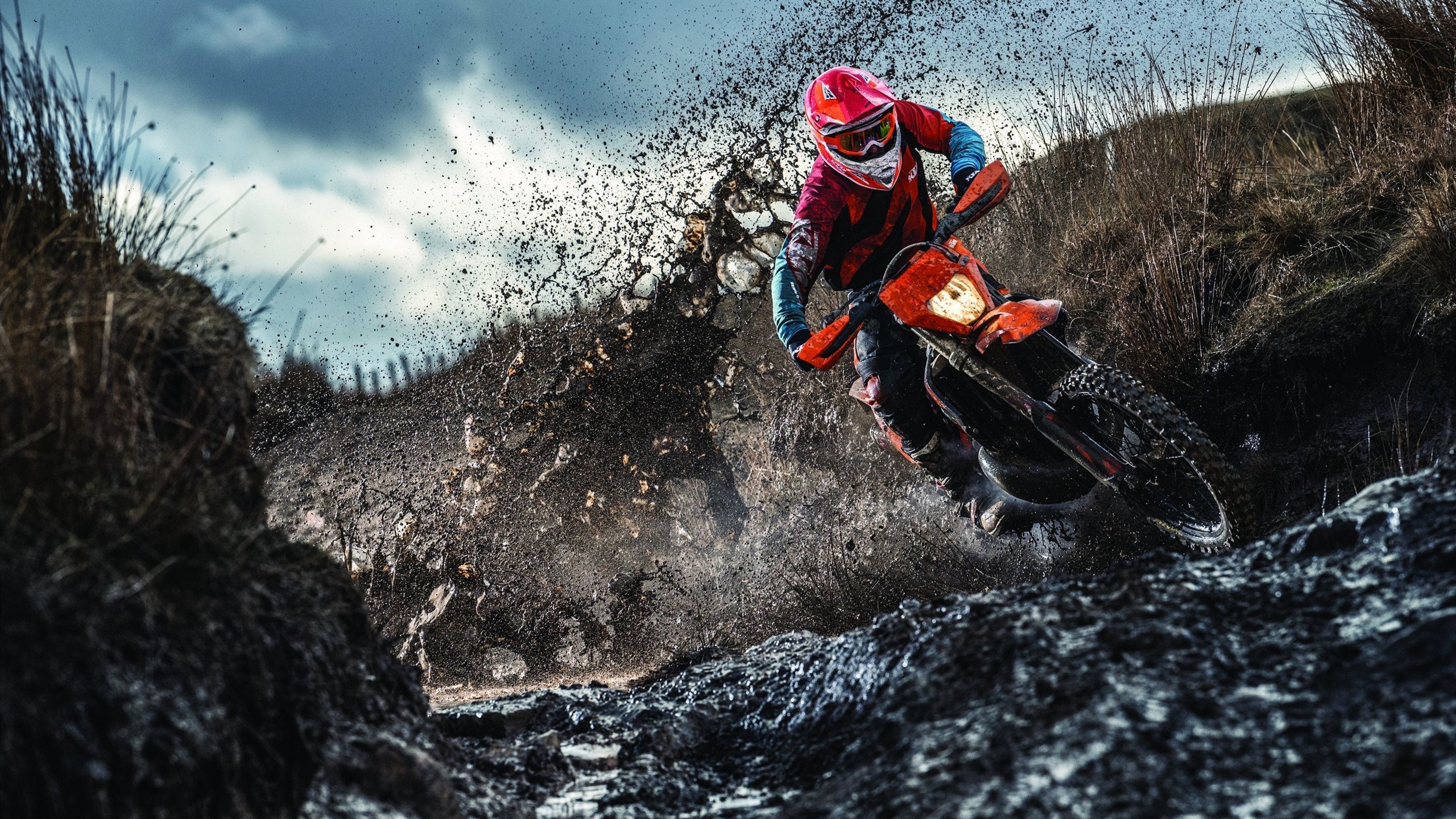 Chinese Taipei拼搏奋进,2024年乒乓世界杯注目表现,2024世乒赛在哪