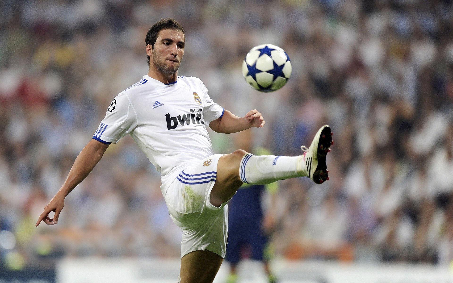 南非羚羊队的核心战术:不断打破对方防线,保持高压态势,南非羚羊皮可以干嘛用