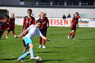 JIUYOU.COM-中国足球是否应开展足球文化进乡村活动，中国足球产业与文化发展报告